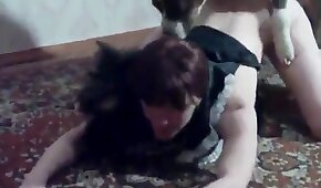 pornô com animais,pornô zoológico grátis